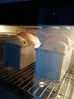 白巧克力蔓越莓吐司的做法 步骤12