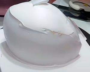 天鹅蛋糕的做法 步骤6