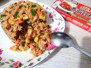 “番茄红烩杂蔬炒饭”（可做芝士焗饭）的做法 步骤13