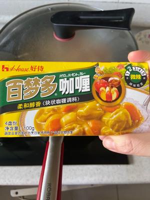 简单快手咖喱鸡肉饭的做法 步骤11