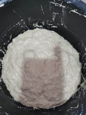 意大利拖鞋面包Ciabatta，没有机器只有勤劳的双手（不手揉）。的做法 步骤8