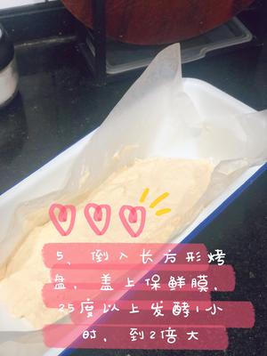 意大利面包（外脆里韧，无油无糖)的做法 步骤5