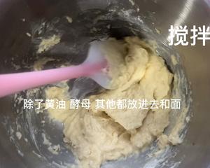 有烤箱在家就能做的-酸甜肉松蔓越莓馅儿小方包~新手小白冲的做法 步骤7