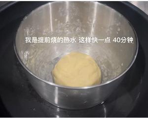 有烤箱在家就能做的-酸甜肉松蔓越莓馅儿小方包~新手小白冲的做法 步骤10