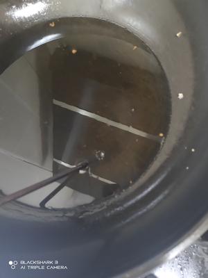干炸扇贝柱的做法 步骤4