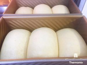 无糖全麦橄榄油吐司的做法 步骤9