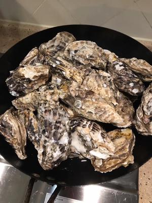 牡蛎煮面·炖菜的做法 步骤1