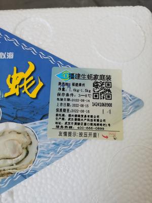 高压锅生蚝的做法 步骤1