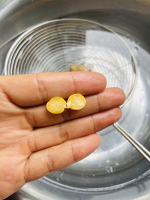烧烤味低脂鹰嘴豆的做法 步骤5