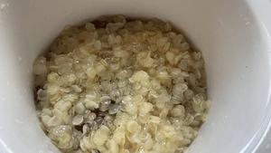 平价燕窝！–自制雪燕桃胶膏的做法 步骤3