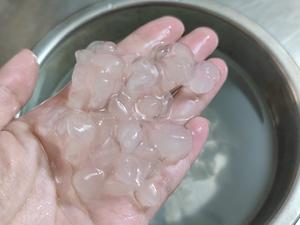 桃胶皂角米雪燕红枣鸡头米的做法 步骤3