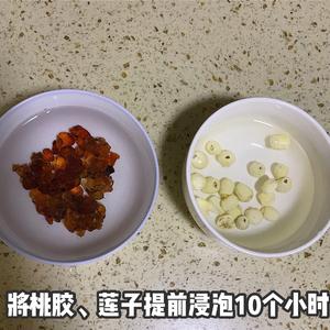 减肥也可以吃甜品|牛奶炖桃胶的做法 步骤2