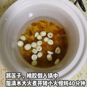 减肥也可以吃甜品|牛奶炖桃胶的做法 步骤3