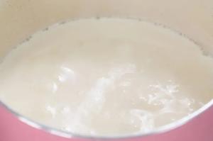 桃胶奶冻的做法 步骤11