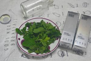 消灭疯长的薄荷之自制花露水的做法 步骤1