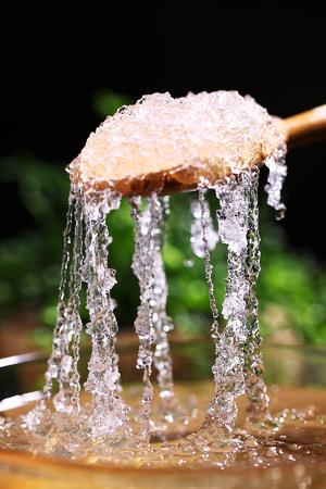 早餐：清炖雪燕，润肤瘦身的做法 步骤2