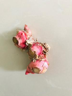创意菜：「蒸蒸日上」清蒸南姜鱼|年夜饭|宴客硬菜的做法 步骤1