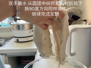 冷藏发酵法——花椒碧根果脆皮大孔洞恰巴塔（无油/减脂）的做法 步骤6