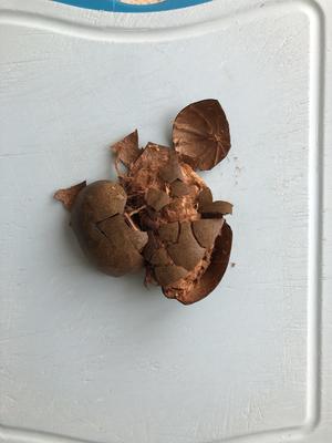 罗汉果陈皮茶的做法 步骤3