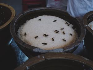 酒酿桂花鸡头米的做法 步骤2