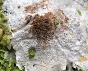 榆钱窝窝（蒸出来还是翠绿色哦）㊙️的做法 步骤7