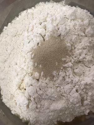 坚果红枣蔓越莓软欧包的做法 步骤3