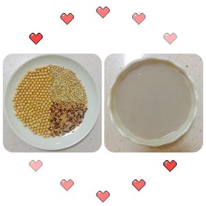 各种豆浆（破壁机；附总结各食材在豆浆中起的作用）——减肥美食6的做法 步骤3