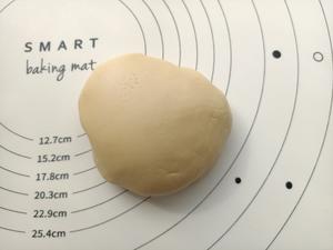 吃不够的金沙奶黄月饼的做法 步骤13